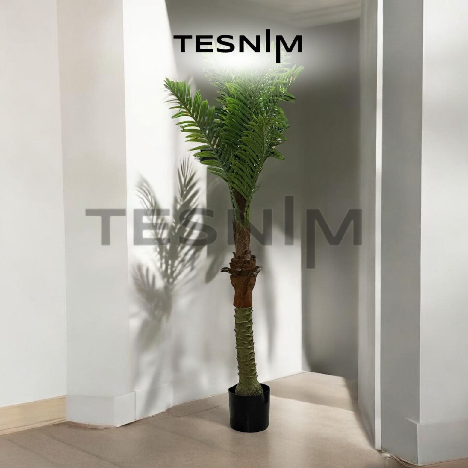 Цвеќе во саксија 175 цм 7/52590